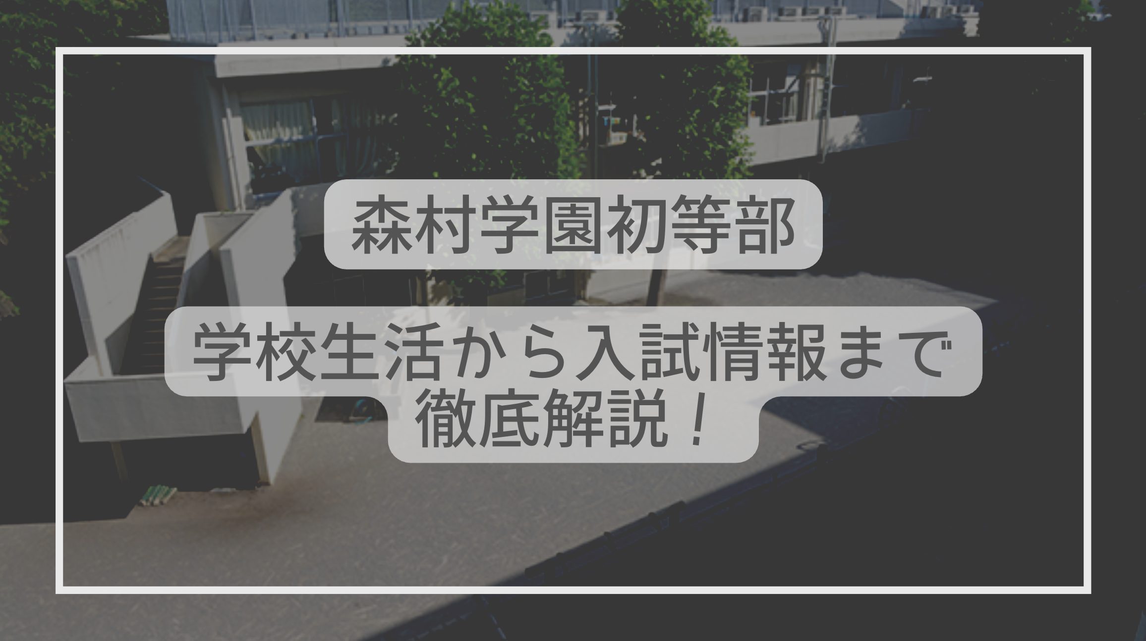 森村学園初等部はどんな学校？学校生活から入試情報まで徹底解説